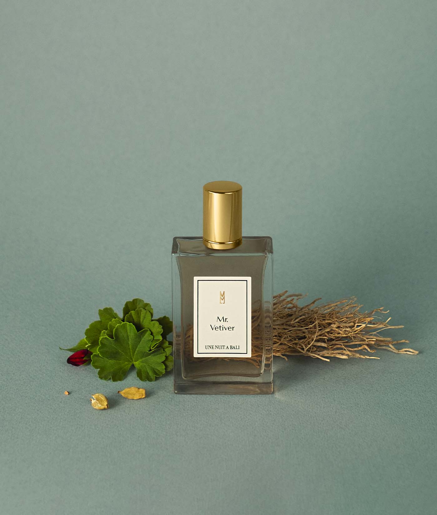 une nuit a bali mr vetiver